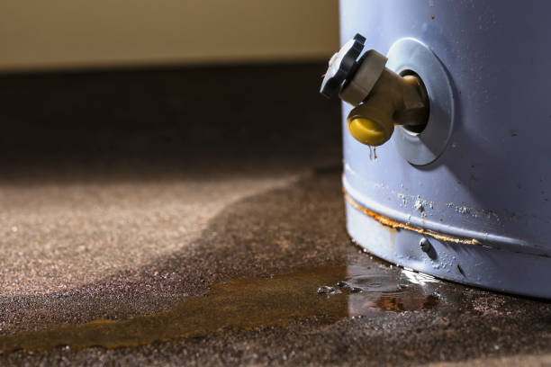 Best Ceiling water damage repair  in Sardis, MS