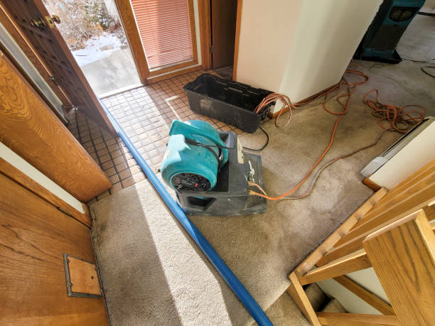 Best 24/7 water damage repair  in Sardis, MS