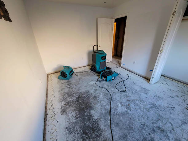 Best Flooded house restoration  in Sardis, MS