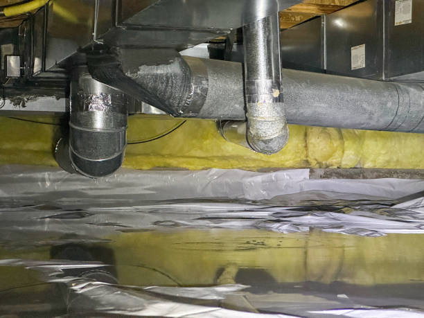 Best Flood restoration services  in Sardis, MS