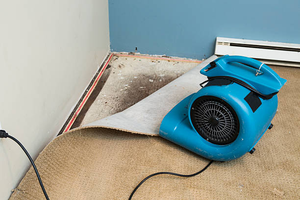 Best Ceiling water damage repair  in Sardis, MS